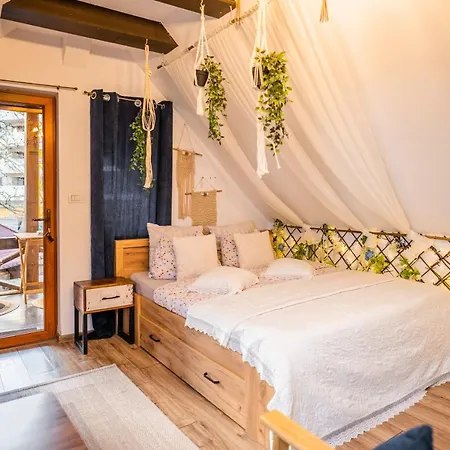 Villa Hanul Anei - Entire