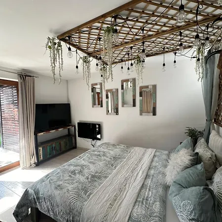 Hanul Anei - Entire Villa