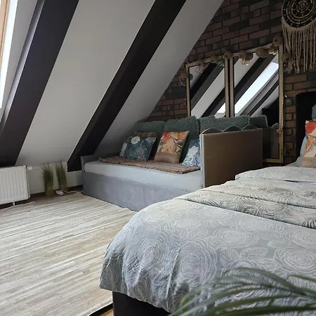 Villa Hanul Anei - Entire Brasov